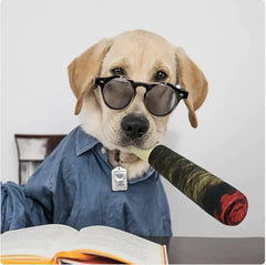 Playful Pooch Soft Chew Toy