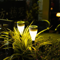 Garden Landscape Lights